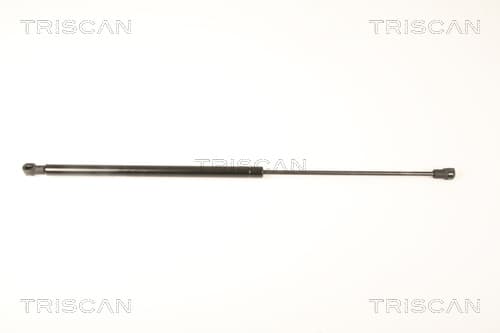 Gasfjäder bakrude från TRISCAN