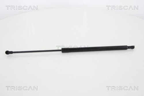 Gasfjäder bak från TRISCAN