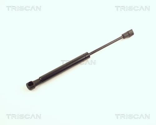 Gasfjäder fram från TRISCAN