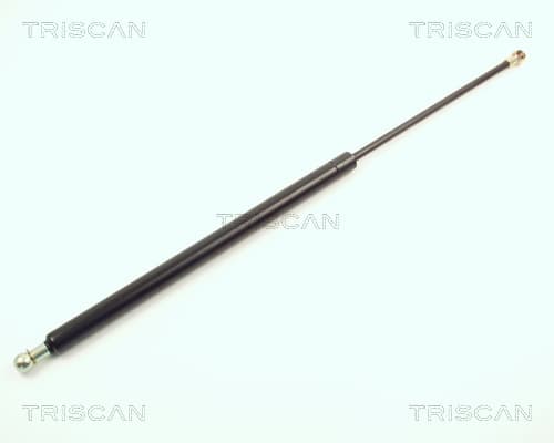 Gasfjäder bak från TRISCAN