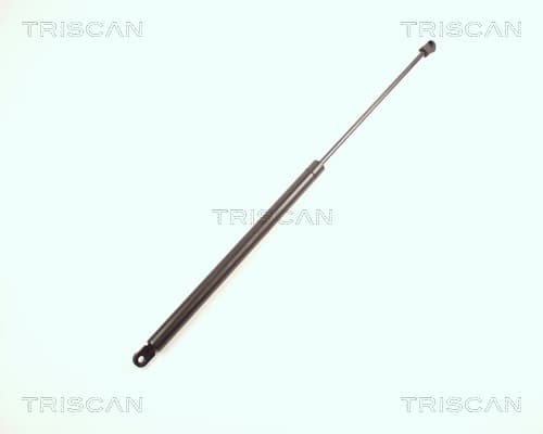 Gasfjäder bak från TRISCAN