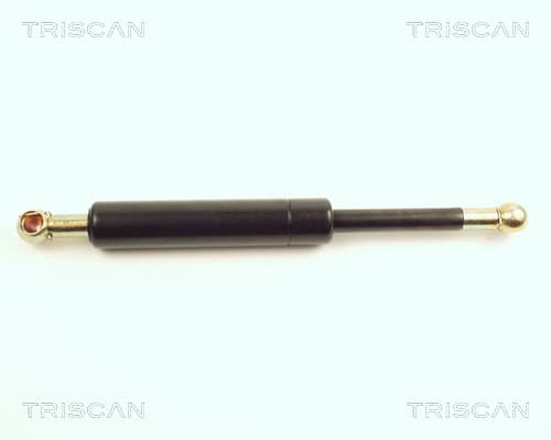 Gasfjäder bak från TRISCAN