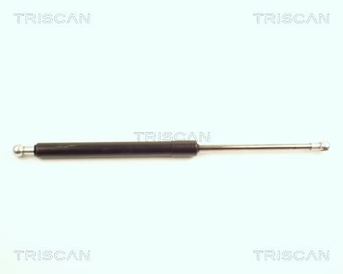 Gasfjäder bak från TRISCAN