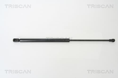 Gasfjäder bak från TRISCAN