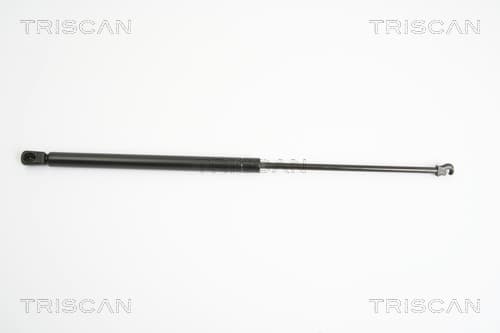 Gasfjäder bak från TRISCAN