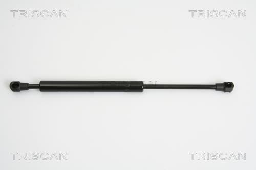 Gasfjäder bak från TRISCAN