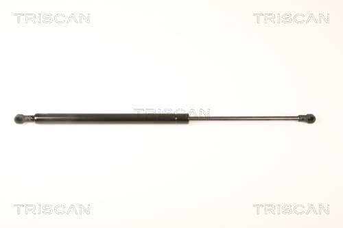 Gasfjäder bak från TRISCAN