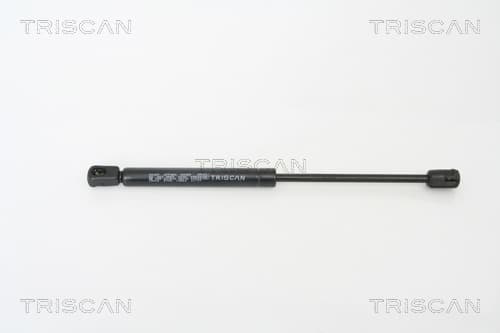 Gasfjäder bak från TRISCAN