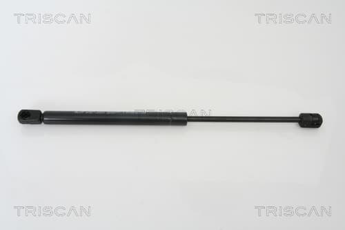 Gasfjäder bak från TRISCAN