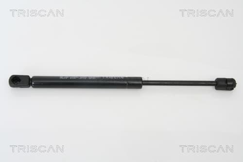 Gasfjäder bakrude från TRISCAN