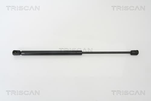 Gasfjäder bak från TRISCAN