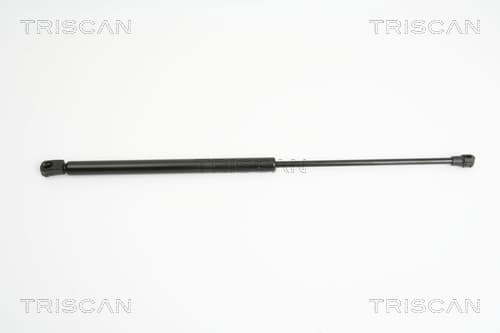 Gasfjäder bak från TRISCAN