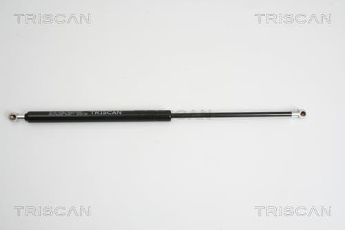 Gasfjäder bak från TRISCAN