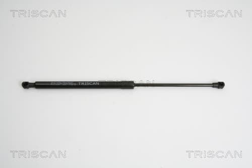 Gasfjäder bak från TRISCAN