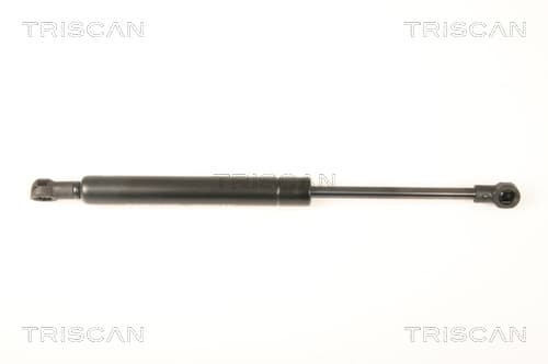 Gasfjäder bak från TRISCAN
