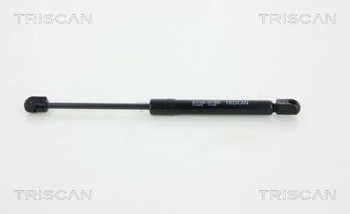 Gasfjäder bak från TRISCAN