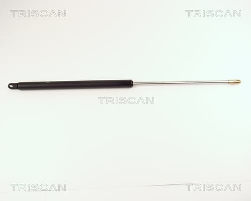 Gasfjäder bak från TRISCAN
