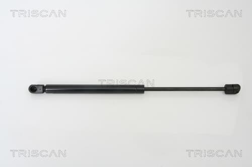 Gasfjäder fram