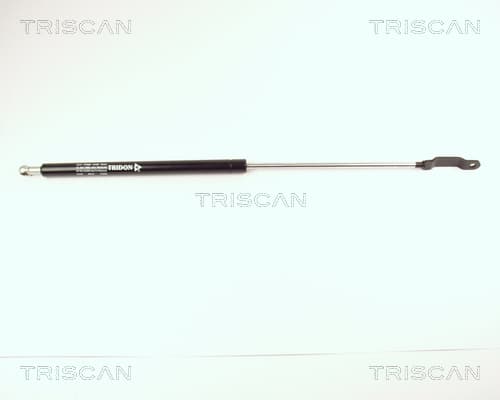 Gasfjäder bak från TRISCAN