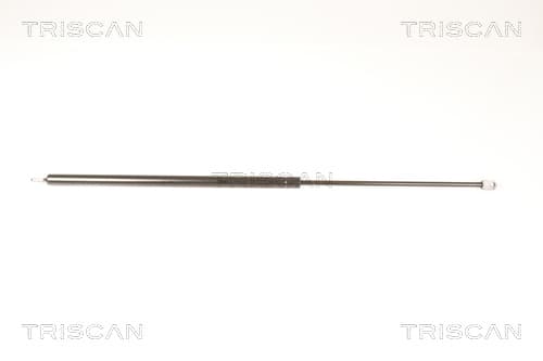 Gasfjäder bak från TRISCAN