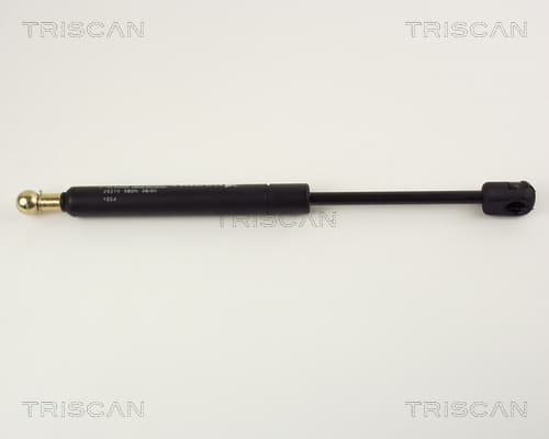 Gasfjäder bak från TRISCAN