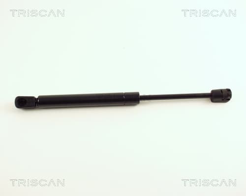 Gasfjäder bak från TRISCAN