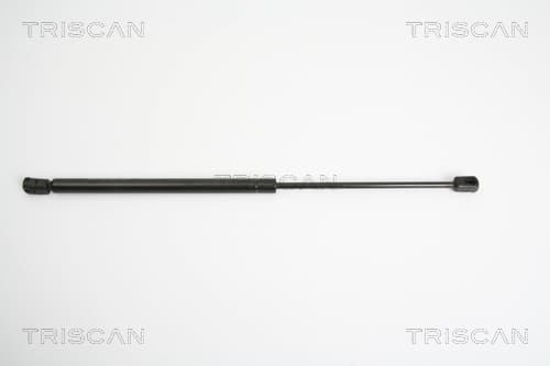 Gasfjäder bak från TRISCAN