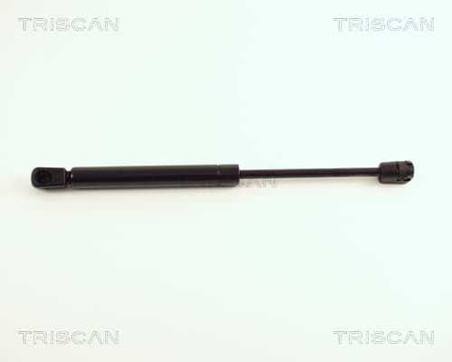 Gasfjäder bak från TRISCAN