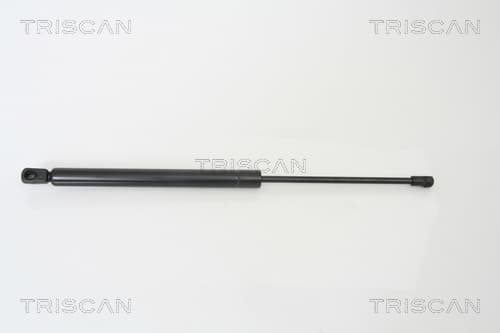 Gasfjäder bak från TRISCAN