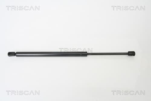 Gasfjäder bak från TRISCAN