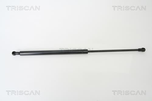 Gasfjäder bak från TRISCAN