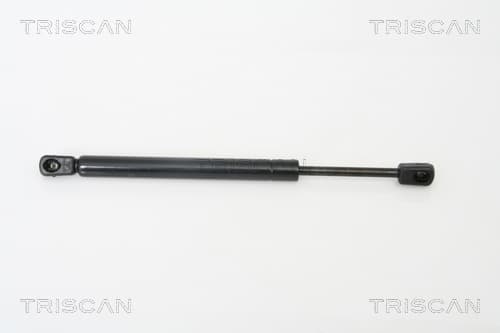 Gasfjäder bak från TRISCAN