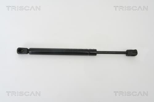 Gasfjäder bak från TRISCAN