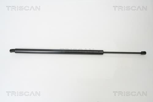 Gasfjäder bak från TRISCAN