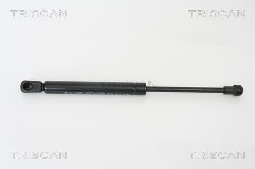 Gasfjäder bak från TRISCAN