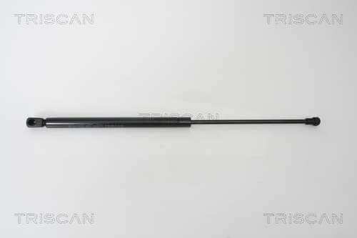 Gasfjäder bak från TRISCAN