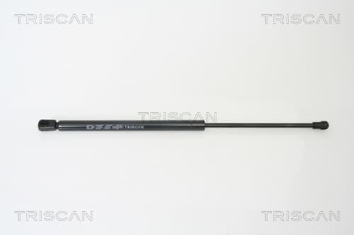 Gasfjäder bak från TRISCAN