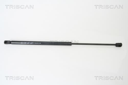 Gasfjäder bak från TRISCAN