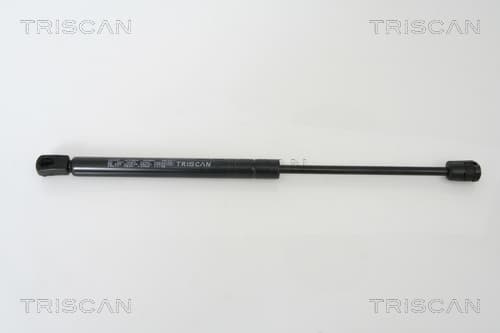 Gasfjäder bak från TRISCAN