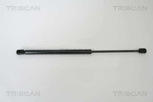 Gasfjäder bak från TRISCAN