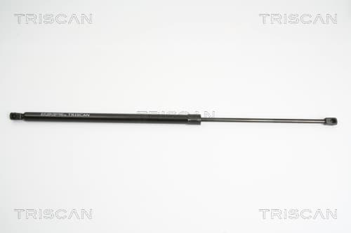 Gasfjäder bak från TRISCAN