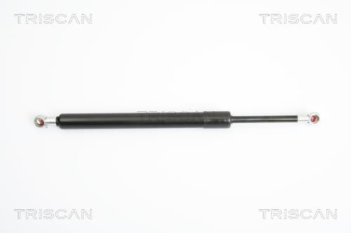 Gasfjäder bak från TRISCAN