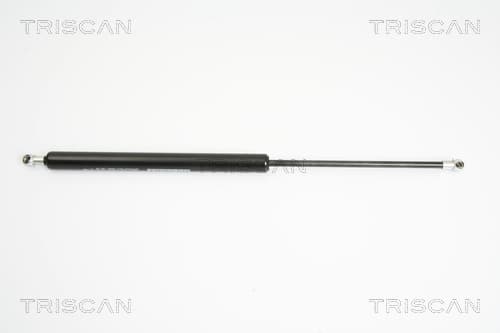 Gasfjäder bak från TRISCAN
