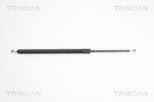 Gasfjäder bak från TRISCAN