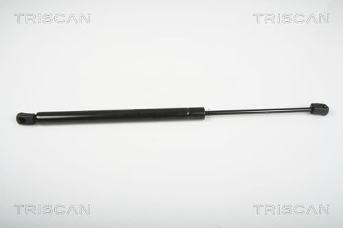 Gasfjäder bak från TRISCAN