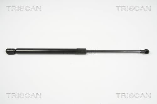Gasfjäder bak från TRISCAN
