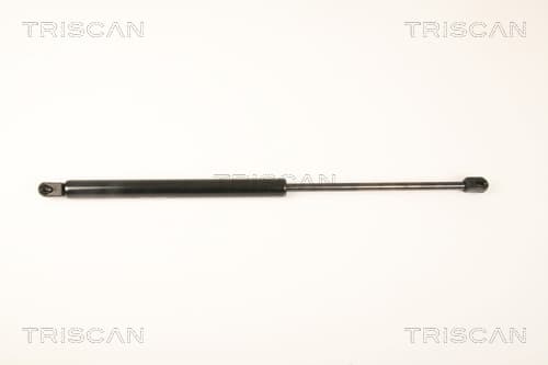 Gasfjäder bak från TRISCAN
