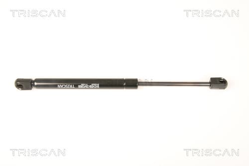 Gasfjäder bak från TRISCAN