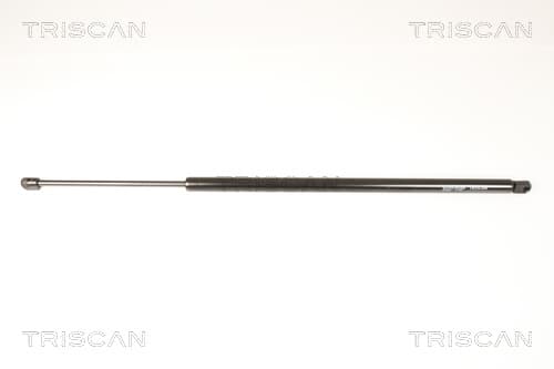 Gasfjäder bak från TRISCAN