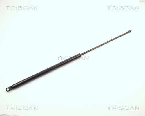 Gasfjäder bak från TRISCAN